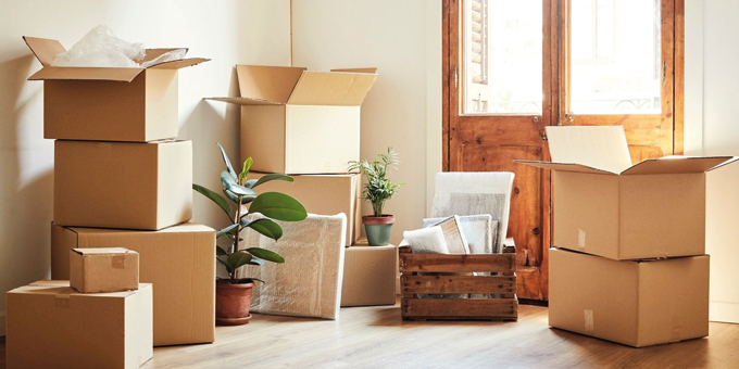 Image: https://archivos33.s3.eu-central-1.amazonaws.com/img-1570708855-649702975.jpg